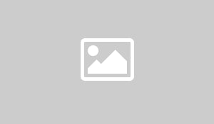 &nbsp;